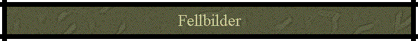Fellbilder
